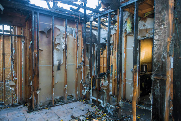 Professional Smoke Damage Removal technician working in Carrizo Hill, TX